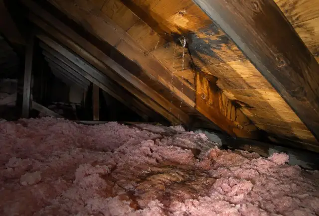 Roof Leak Repair