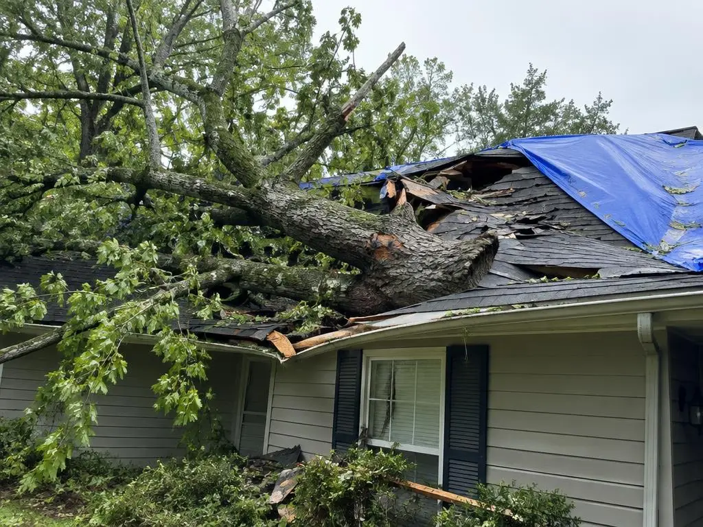 Storm-damaged roof with a fallen tree